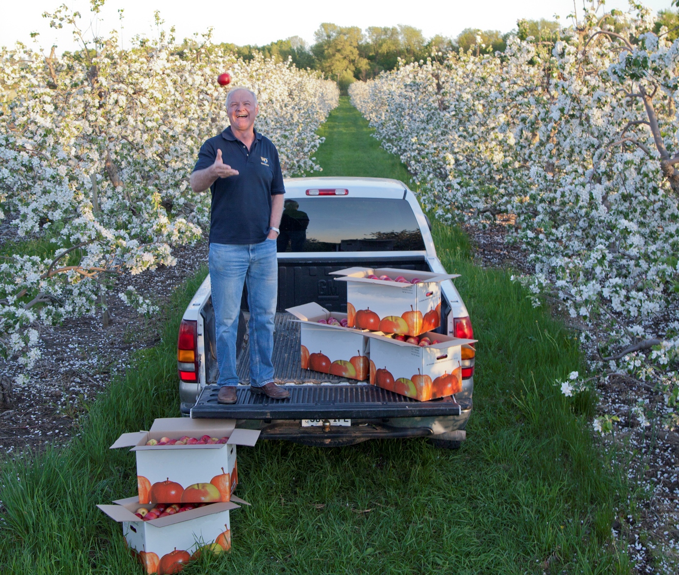 Charles Stevens in his apple orchard near Newcastle, Ontario