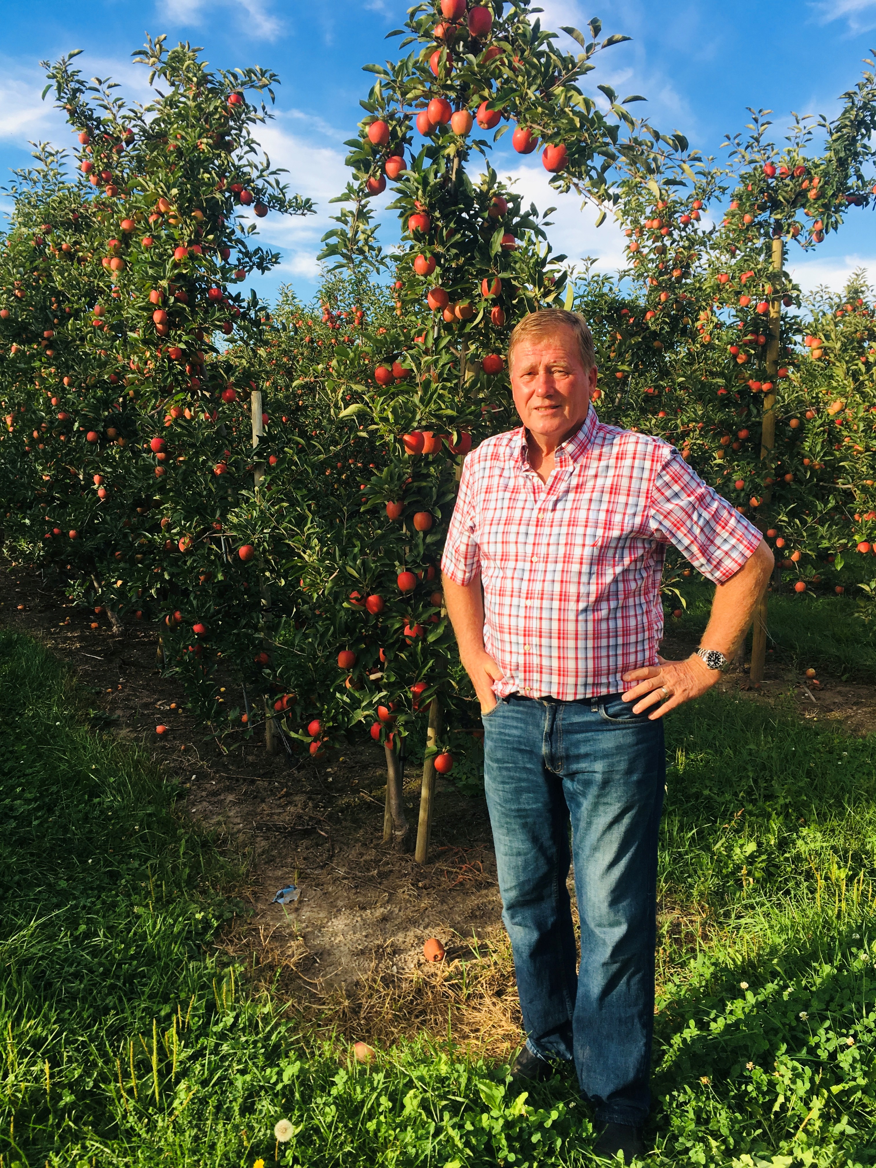 David Gibson, 2024 Golden Apple Award Recipient