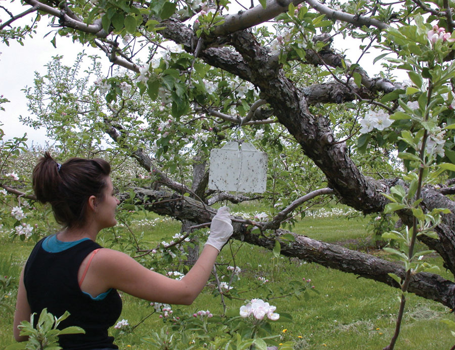 IPM using playback against pests - Good Fruit Grower