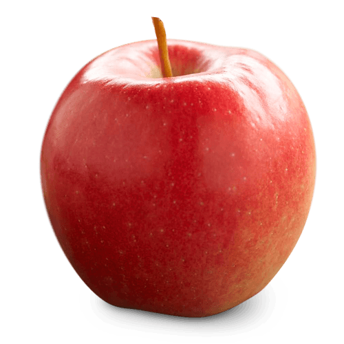 Ontario Apple Varieties - Types of Apples - OAG