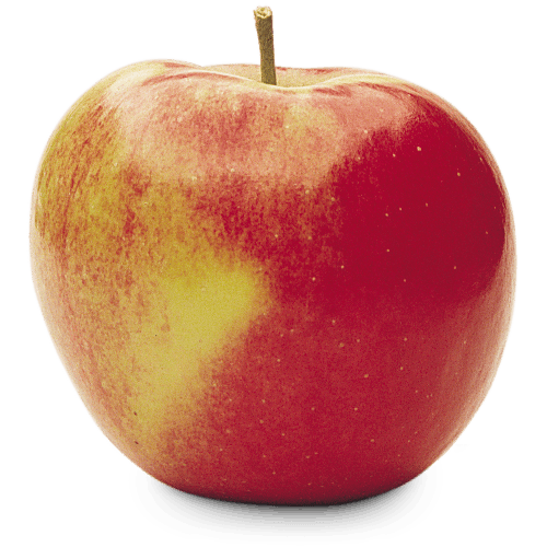Ontario Apple Varieties - Types of Apples - OAG